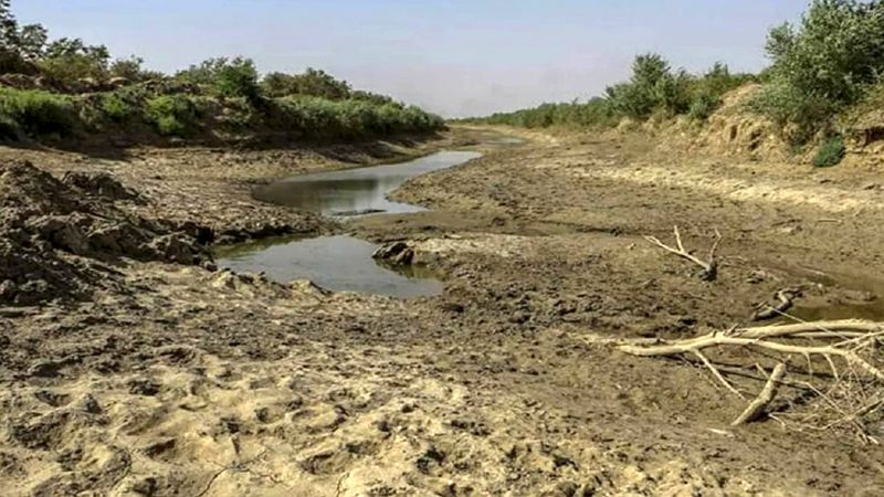 خشک شدن ۲ مخزن هورالعظیم به دلیل گرما؛ ادامه آتش سوزی در بخش عراقی 

