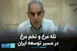 تله مرغ و تخم مرغ در مسیر توسعه ایران 