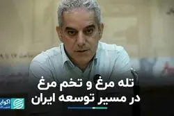 تله مرغ و تخم مرغ در مسیر توسعه ایران 