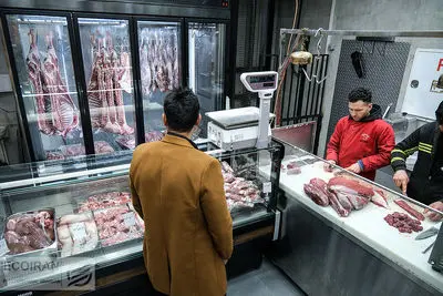 فنر خوراک دام پرید، گوشت گران شد