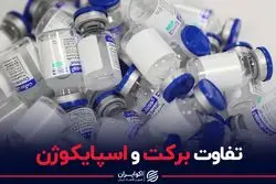 تفاوت برکت و اسپایکوژن