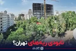 نابودی ریه های تهران؟