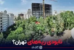 نابودی ریه های تهران؟