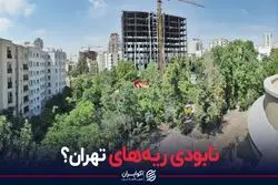 نابودی ریه های تهران؟