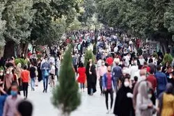 تاثیرگذارترین چهره اجتماعی ایران در سال 1401 چه کسی بود؟ (نظرسنجی)