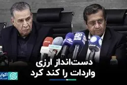 سرعت‌گیر ارزی مانع تسریع واردات