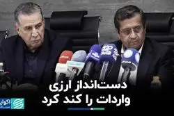 سرعت‌گیر ارزی مانع تسریع واردات