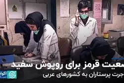 وضعیت قرمز برای روپوش سفید؛ مهاجرت پرستاران به کشورهای عربی