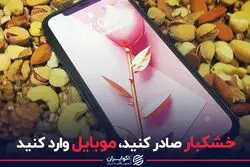 خشکبار صادر کنید، موبایل وارد کنید