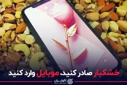 خشکبار صادر کنید، موبایل وارد کنید