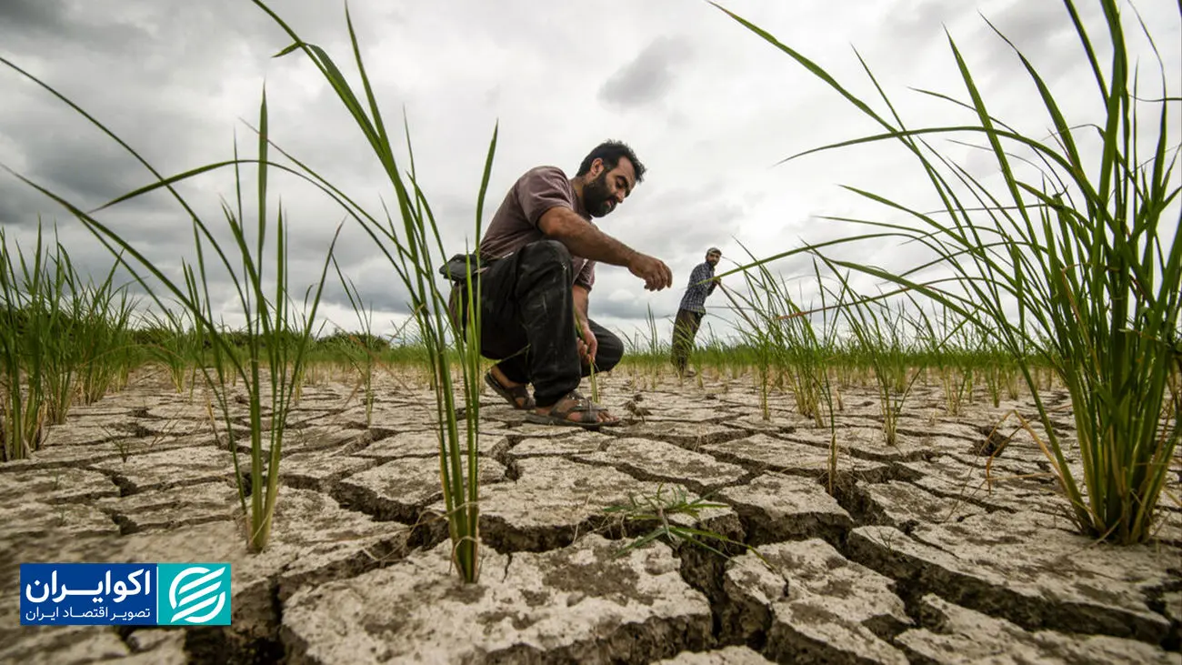 سهم ناچیز سرمایه‌گذاری در بخش مولد اقتصاد