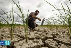 سهم ناچیز سرمایه‌گذاری در بخش مولد اقتصاد