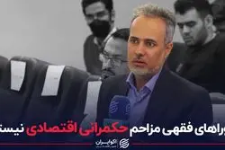 شوراهای فقهی مزاحم حکمرانی اقتصادی نیستند