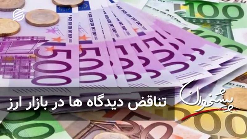 تناقض دیدگاه ها در بازار ارز