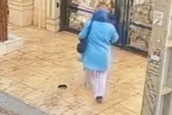 ببینید / زورگیری از خانم باردار در محله نارمک
