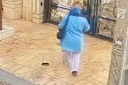 ببینید / زورگیری از خانم باردار در محله نارمک
