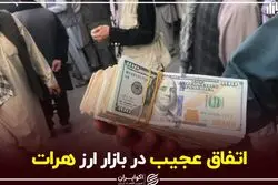 اتفاق عجیب در بازار ارز هرات