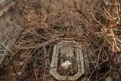 آغاز مرمت و بازسازی خانه فروغ 