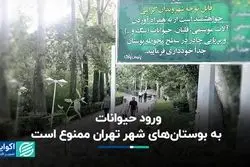 ورود حیوانات به بوستان‌های شهر تهران ممنوع است