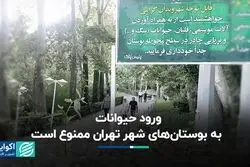 ورود حیوانات به بوستان‌های شهر تهران ممنوع است