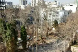 پرونده معروف 62 باغ در شورای ششم باز شد

