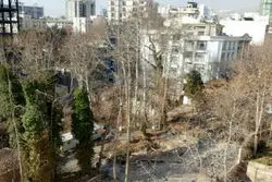 پرونده معروف 62 باغ در شورای ششم باز شد

