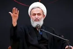 اظهارات جنجالی پناهیان؛ طلا گران شد چون مسجد درآمد ندارد!