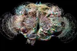 دستاورد بزرگ دانشمندان برای رمزگشایی از مغز انسان