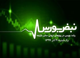 رشد بورس در روزهای نزولی سایر بازارها