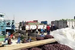 حجم صادرات محصولات کشاورزی رشد کرد، ارزش افت