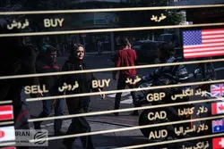 روز کاهش شکاف در بازار ارز/ عملکرد ارز و سکه در یک سالگی دولت