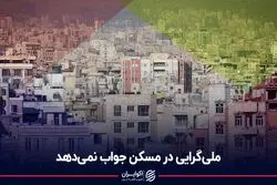 ملی‌گرایی در مسکن جواب نمی‌دهد