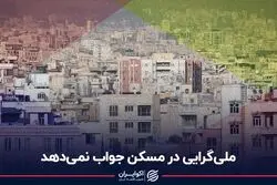 ملی‌گرایی در مسکن جواب نمی‌دهد