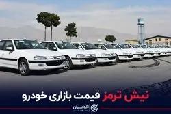 نیش ترمز قیمت بازاری خودرو