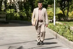 پاسخ قاطع رئیس سازمان محیط زیست درباره پتروشیمی میانکاله