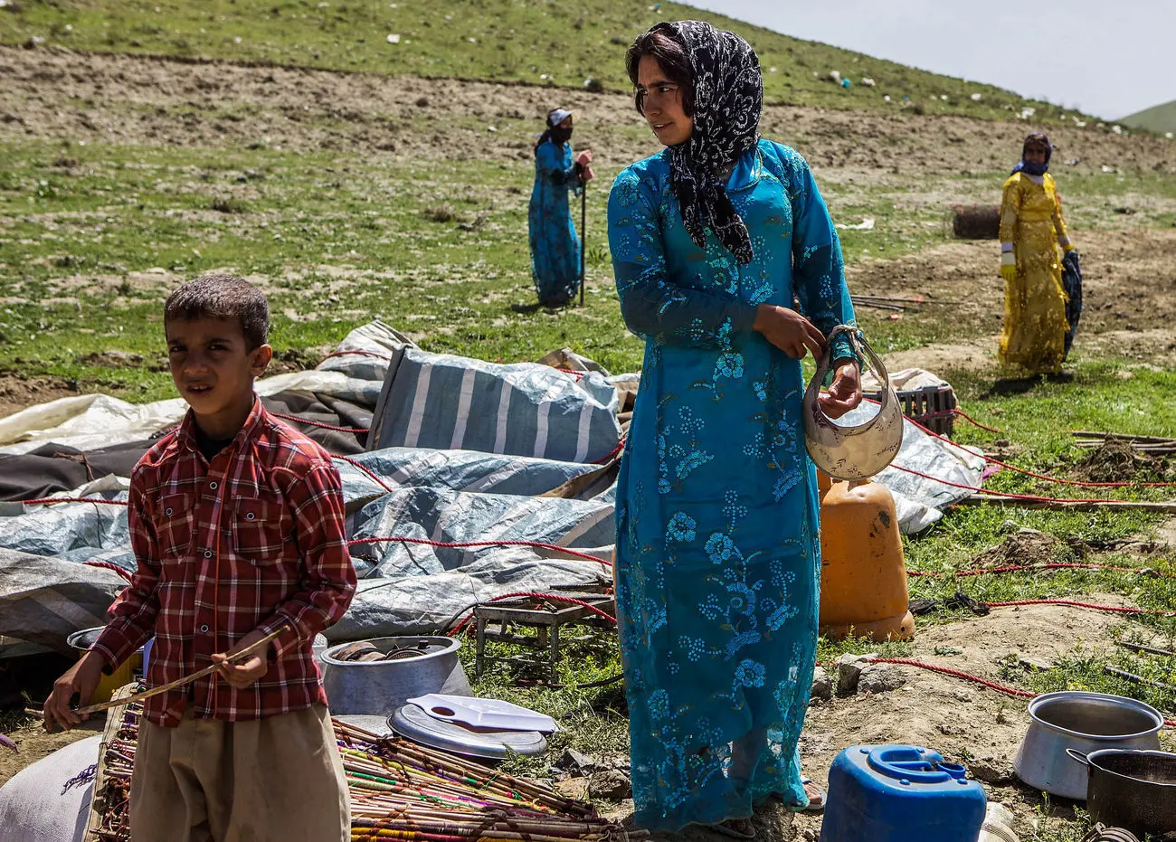 تخصیص 3 هزار میلیارد تومان منابع دولتی برای مدیریت تأمین علوفه دام