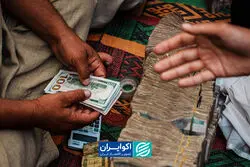 اثر تعطیلی 5 روزه بازار ارز هرات بر طلا و دلار