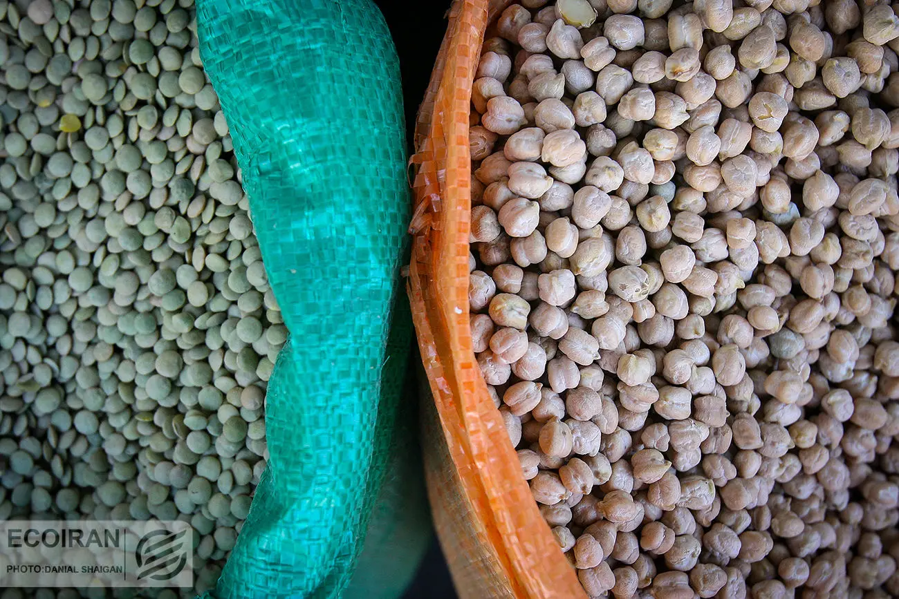 سفر حبوبات به ایران؛ از دروازه امارات تا بازارهای منطقه