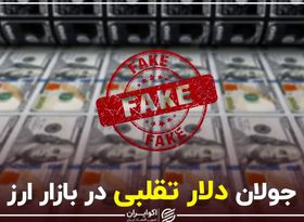 جولان دلار تقلبی در بازار ارز