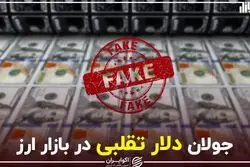 جولان دلار تقلبی در بازار ارز