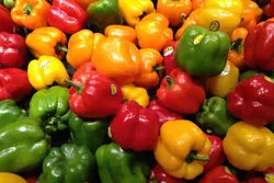 رفع محدودیت صادرات محصولات گلخانه ای به روسیه