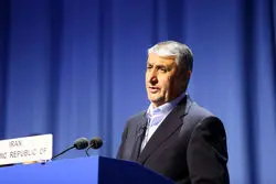 اسلامی: محکوم نکردن حملات اسرائیل به معنای همراهی آژانس با متجاوز است