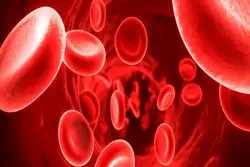 تشخیص علائم اختلالات خونی مزمن در مردان و زنان