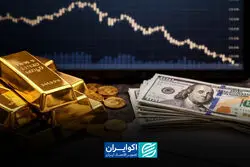 بیشترین سود به چه کسی رسید؟