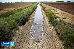 روایت 20ساله آمار از ناپایداری کشاورزی در ایران