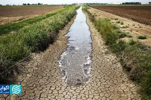 روایت 20ساله آمار از ناپایداری کشاورزی در ایران