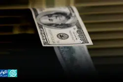 سایه سنگین بازگشت ارز چندنرخی؛ دلار رسمی دوباره جا ماند