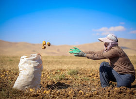  تهران و اصفهان دارای بیشترین کارگاه‌های کشاورزی هستند