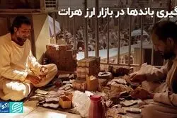 درگیری باندها در بازار ارز هرات