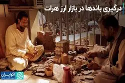 درگیری باندها در بازار ارز هرات